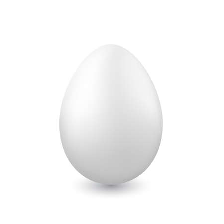One chicken egg on white background. Vector illustration.のイラスト素材