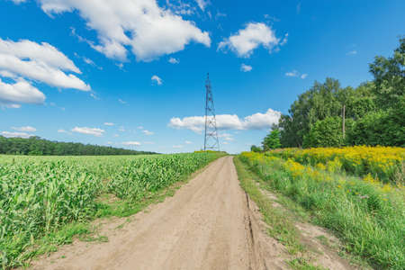 Road on the field with flowers at hot summer day.の写真素材