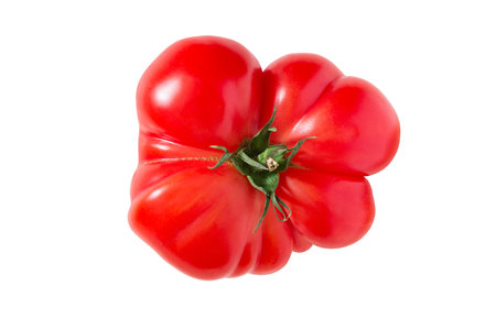 Red fresh tomato isolated on white background.の写真素材