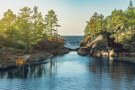 Pine trees on the cliffs of the lake at evening time. Finland.の写真素材
