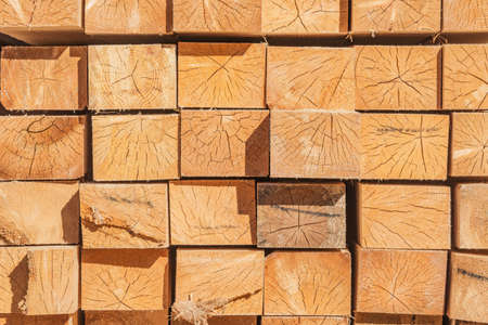 Pine wood timber stack of natural rough wooden boards on building site.の写真素材
