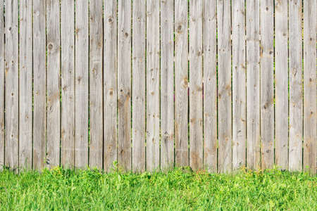 Green grass along the wooden fence.の写真素材
