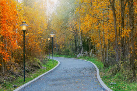 Path in the autumn park at evening.の写真素材