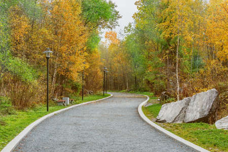 Path in the autumn city park.の写真素材