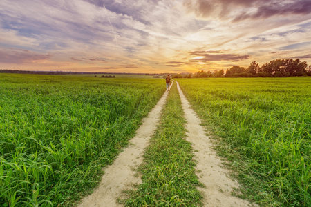 Young man walks in the field at sunset.の写真素材