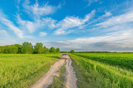 Dry road in the field at sunset.の写真素材