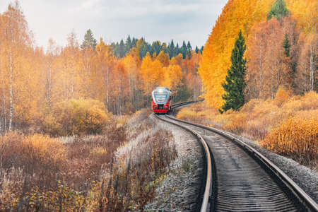 Passenger train moves at autumn morning time.の写真素材