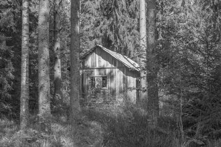 Ancient wooden house in the summer forest.の写真素材