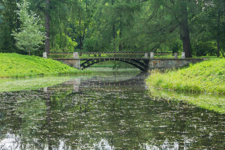 Metal bridge over the pond in the summer city park.の写真素材