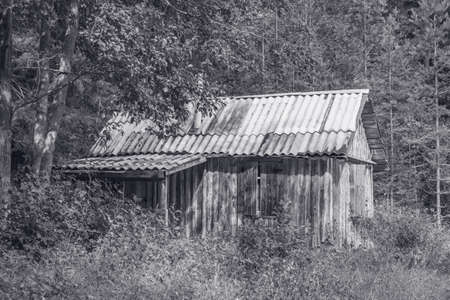 Ancient wooden house in the summer forest.の写真素材