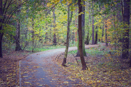 Footpath in the city park at autumn evening time.の写真素材
