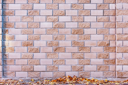 Stone fence in the city autumn park.の写真素材