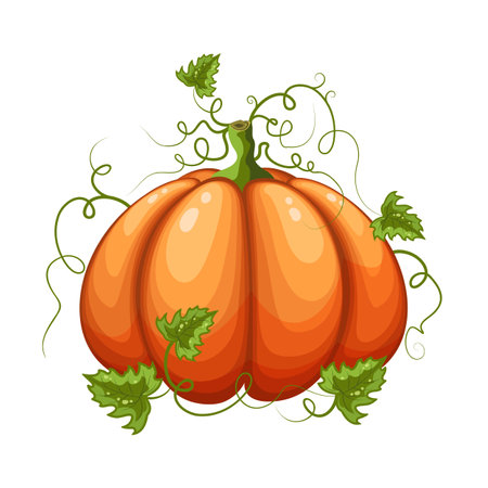 Halloween pumpkin isolated on white background. vector illustration.のイラスト素材