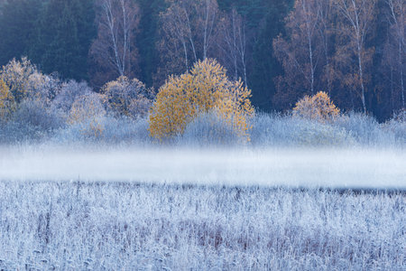 Fog above the meadow at autumn morning. Karelia.の写真素材