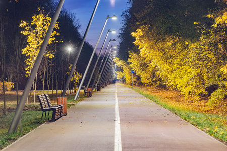 Walkway in the city park at autumn morning.の写真素材