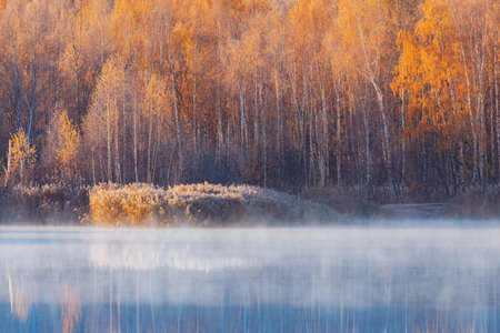 Fog above the lake at cold autumn morning.の写真素材