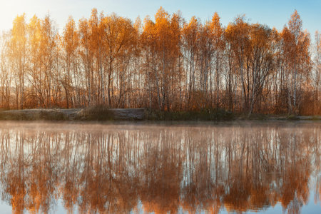 Fog above the lake at cold morning.の写真素材