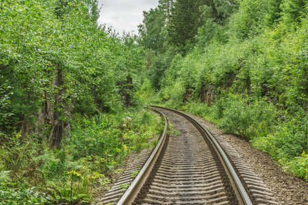 Long railway line in the forest.の写真素材