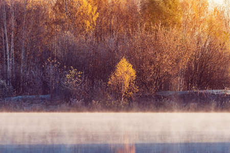Fog above the lake at autumn morning.の写真素材