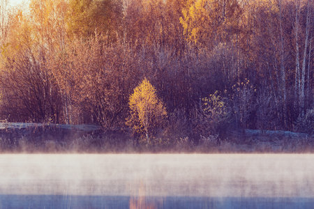Fog above the lake at cold autumn morning.の写真素材
