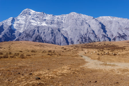 Mountain valley at autumn. Tibet. China.の写真素材