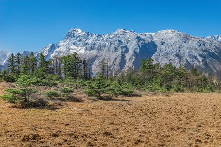 Mountain valley at autumn. Tibet. China.の写真素材