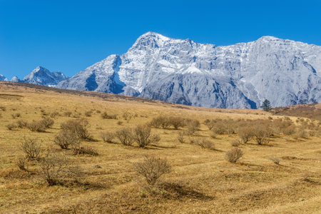 Mountain valley at autumn. Tibet. China.の写真素材