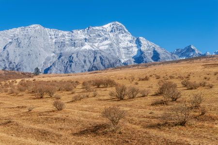 Mountain valley at autumn. Tibet. China.の写真素材