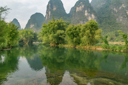 Trees along Yulong river near Yangshuo. China.の写真素材