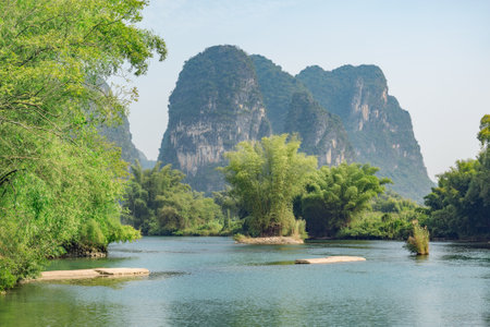 Trees along Yulong river near Yangshuo. China.の写真素材