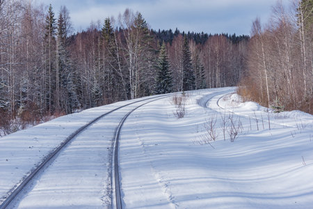 Railway track in the winter forest.の写真素材