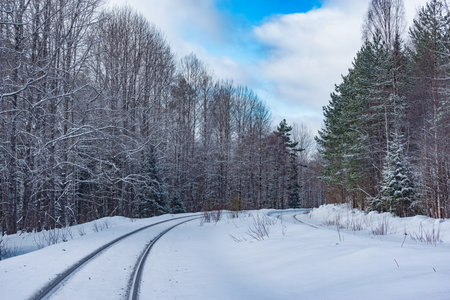Railway track in the winter forest.の写真素材