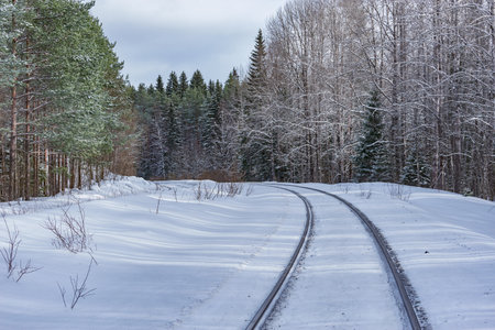 Railway track in the winter forest.の写真素材