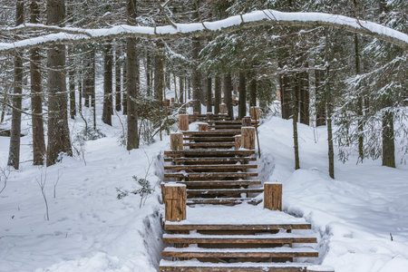 Wooden stairs to the mountain top.の写真素材