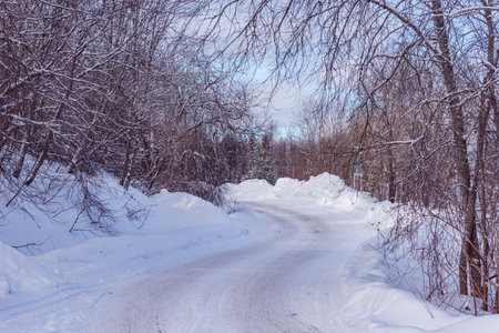 Road of the countryside at winter day.の写真素材