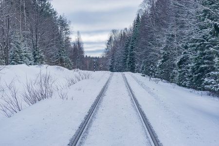 Railway track in the winter forest.の写真素材