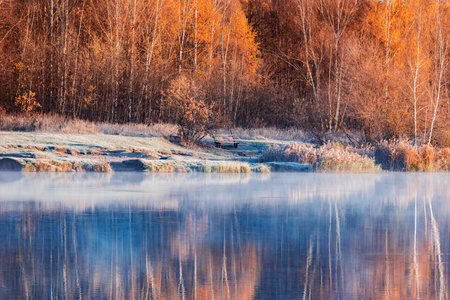 Forest by the lake at cold autumn morning.の写真素材