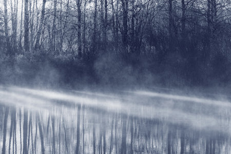 Forest by the lake at cold autumn morningの写真素材