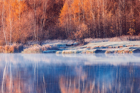 Forest by the lake at cold autumn.の写真素材