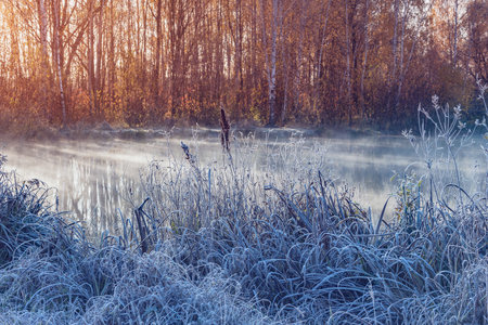 Fog above the lake at cold autumn morning.の写真素材