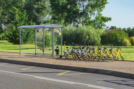 Empty bus stop by the park at summer day.の写真素材