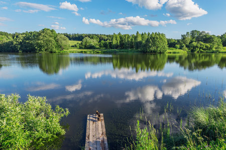 Lake near the field at summer sunset timeの写真素材