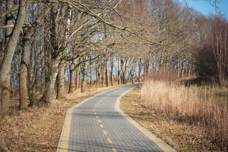 Road for walks in the city park.の写真素材