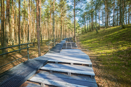 Path for walks in the park at morning.の写真素材
