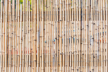 Close up image of the bamboo trunks fence.の写真素材