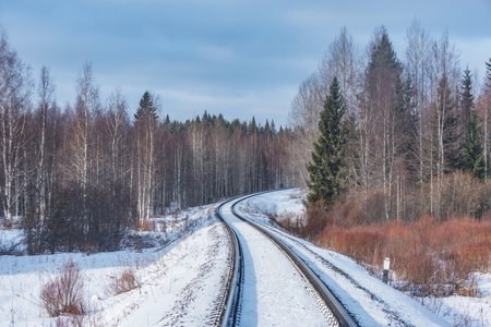 Railway track in the forest at winter.の写真素材