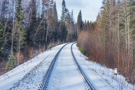 Railway track in the forest at winter.の写真素材