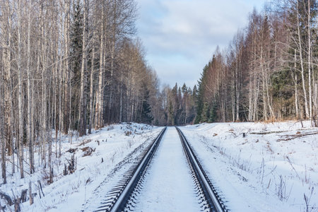 Railway track in the forest at winter.の写真素材