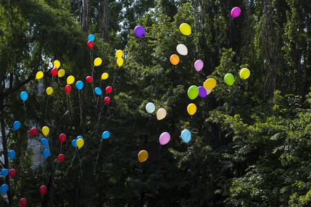 balloons in the sky against trees, the last call schoolの写真素材