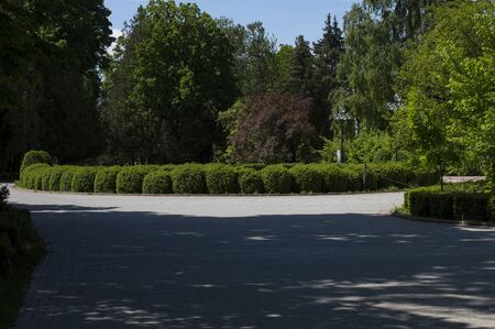 the sidewalk and lawn, near an ancient mansion,  summerの写真素材